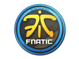 Cologne 2014Fnatic