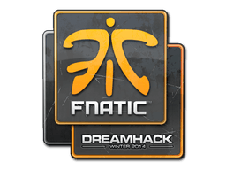 DreamHack 2014Fnatic