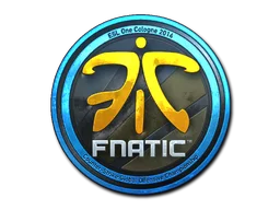 Cologne 2014Fnatic (Foil)