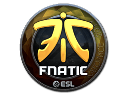 Katowice 2019Fnatic (Foil)