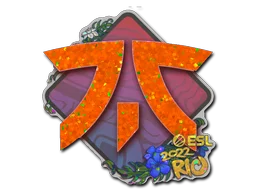 Rio 2022Fnatic (Glitter)