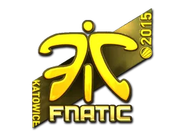 Katowice 2015Fnatic (Gold)