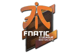 Boston 2018Fnatic (Holo)