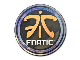 Cologne 2014Fnatic (Holo)