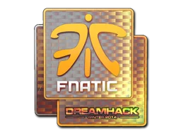 DreamHack 2014Fnatic (Holo)