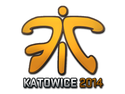Katowice 2014Fnatic (Holo)