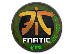 Katowice 2019Fnatic (Holo)