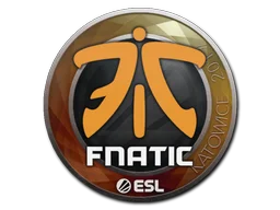 Katowice 2019Fnatic