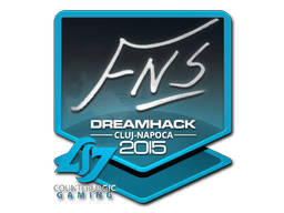 Cluj-Napoca 2015FNS