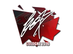 Cologne 2016fox