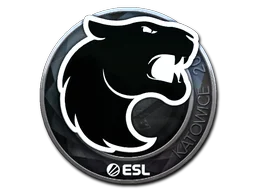Katowice 2019FURIA (Foil)