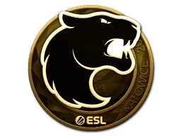 Katowice 2019FURIA (Gold)