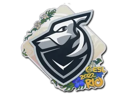 Rio 2022Grayhound Gaming