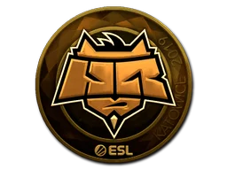 Katowice 2019HellRaisers (Gold)