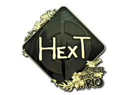 Rio 2022HexT (Gold)
