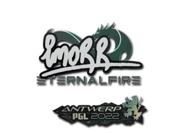 Antwerp 2022imoRR