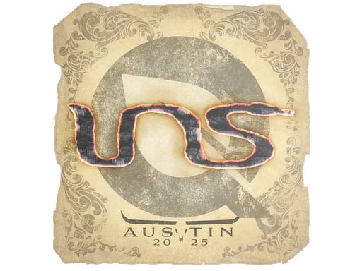 Austin 2025INS