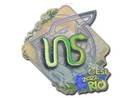 Rio 2022INS (Holo)
