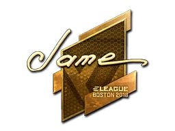 Boston 2018Jame (Gold)