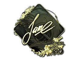 Rio 2022Jame (Gold)