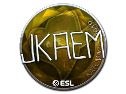 Katowice 2019jkaem (Foil)