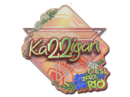 Rio 2022karrigan (Holo)