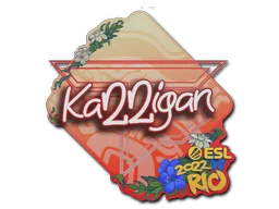 Rio 2022karrigan