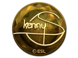 Katowice 2019kennyS (Gold)