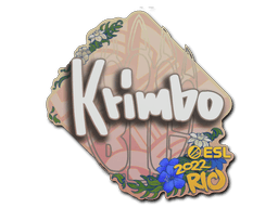 PaperRio 2022