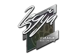 Boston 2018LEGIJA