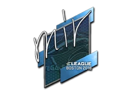 Boston 2018mir