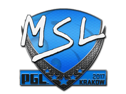 Krakow 2017MSL