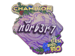 Rio 2022n0rb3r7 (Champion)