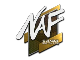 Boston 2018NAF