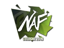 Cologne 2016NAF