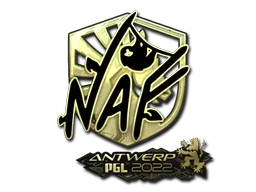 Antwerp 2022NAF (Gold)
