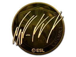 Katowice 2019NAF (Gold)