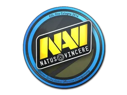 Cologne 2014Natus Vincere