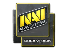DreamHack 2014Natus Vincere