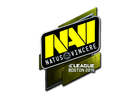 Boston 2018Natus Vincere (Foil)