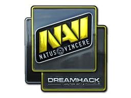 FoilDreamHack 2014