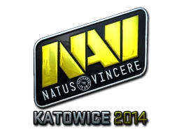 Katowice 2014Natus Vincere (Foil)