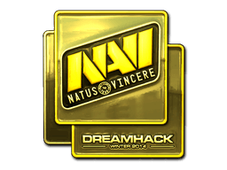 DreamHack 2014Natus Vincere (Gold)