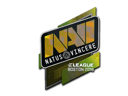 Boston 2018Natus Vincere (Holo)