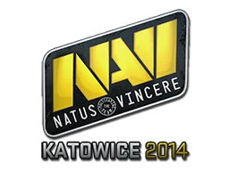 Katowice 2014Natus Vincere