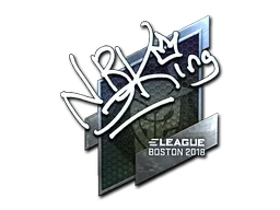 Boston 2018NBK- (Foil)