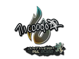 Antwerp 2022nicoodoz