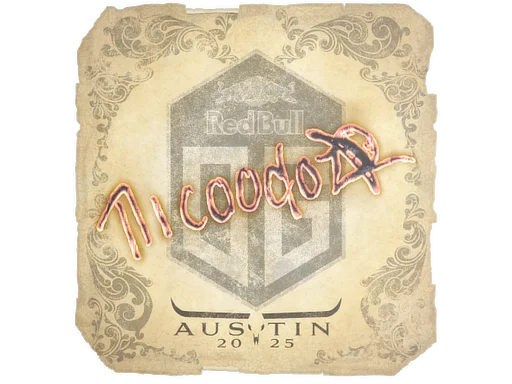 Austin 2025nicoodoz