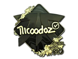 Rio 2022nicoodoz (Gold)
