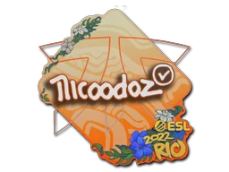 Rio 2022nicoodoz